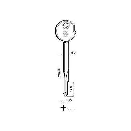 CLE CRUCIFORMES