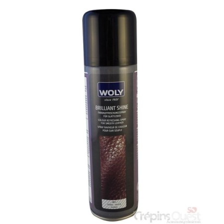 WOLY BRILLANT SHINE AERO 250ml