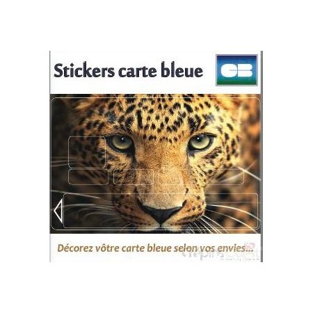 KISIKOL STICKERS CARTES BANCAIRES