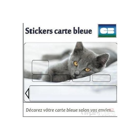 KISIKOL STICKERS CARTES BANCAIRES